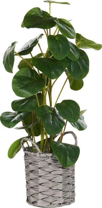 Immagine prodotto Beliani Kibeti (55 cm)