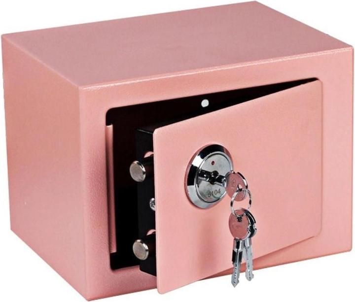 Extralink Startseite | Sicher zu Hause | Büro Schlüsselbox Safe rosa S-404