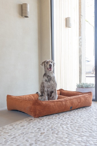Immagine prodotto Designed by Lotte Liegebett Ribbed (Cane)