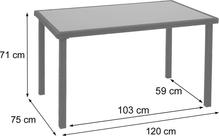 Immagine prodotto Swisshandel24 Tavolo in Poly Rattan, Tavolo da giardino, Tavolo da balcone, 120x75cm - Grigio (120 cm)