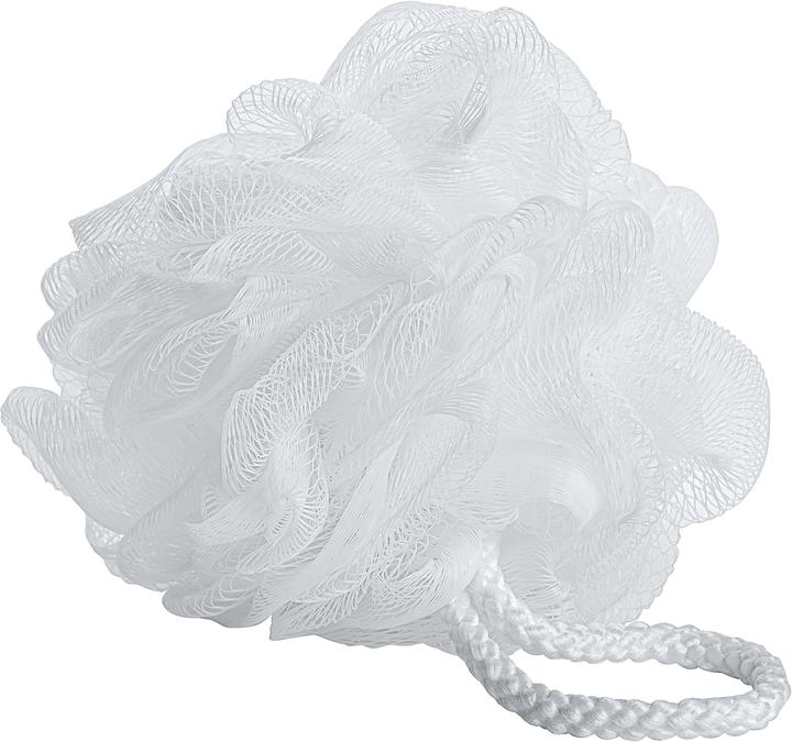 Actual product image Wenko Net sponge