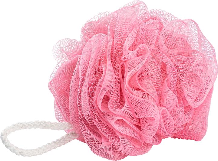 Actual product image Wenko Net sponge