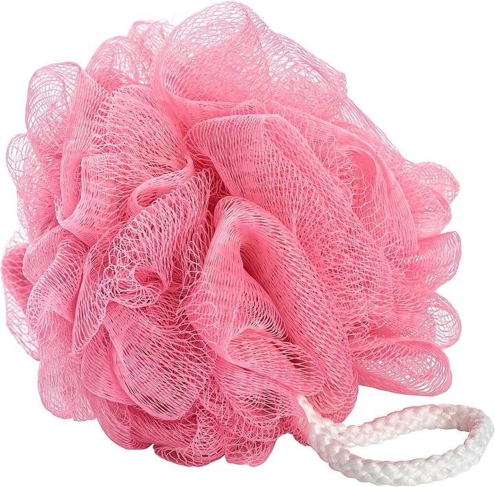 Actual product image Wenko Net sponge