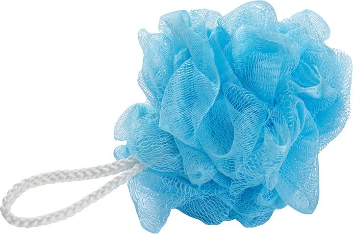 Actual product image Wenko Net sponge