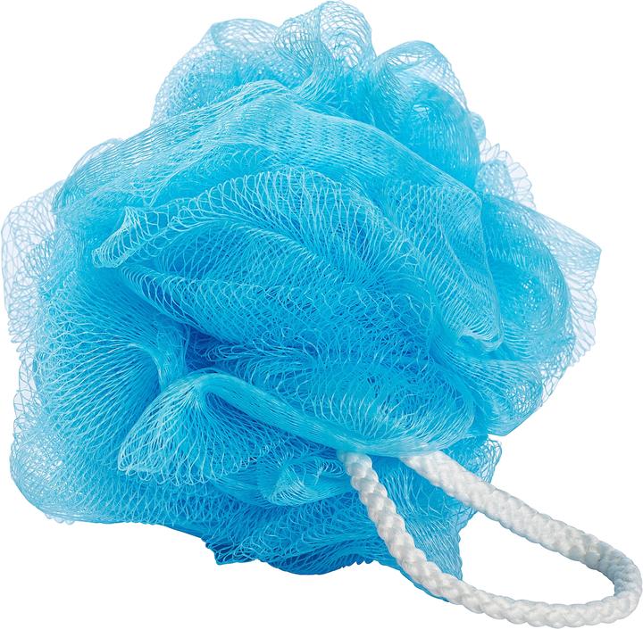 Actual product image Wenko Net sponge