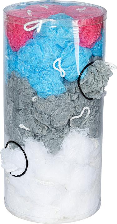 Actual product image Wenko Net sponge