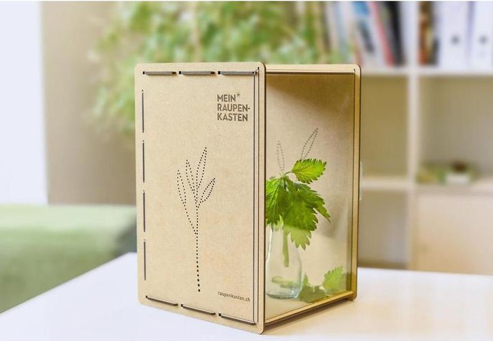 Immagine prodotto Mein Raupenkasten Insetto hotel caterpillar box (Farfalle)