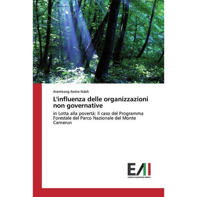 L'influenza delle organizzazioni non governative, Fachbücher von Atemkeng Andre Ndah