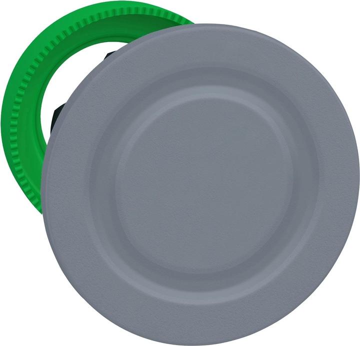 Actual product image Schneider Electric Blanking plug, plastic, front, 30mm, ZB5FSCUST01