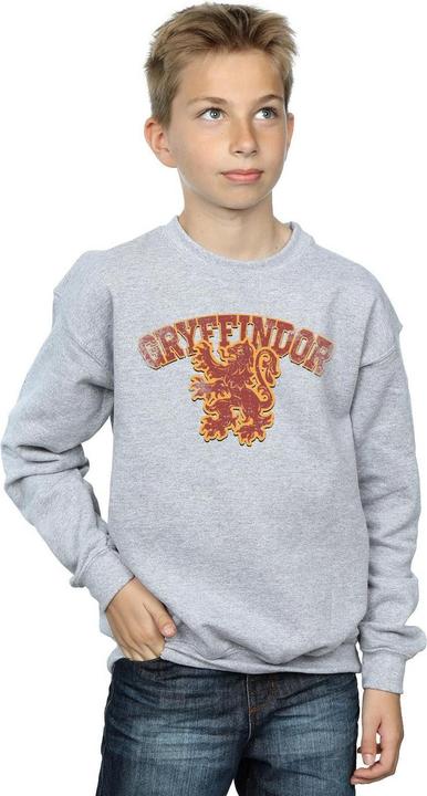 Produktbild Gryffindor Sport Emblem Sweatshirt Jungen (140, 146)