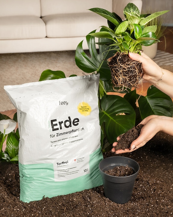 Actual product image feey Earth (10 l, Soil without peat)