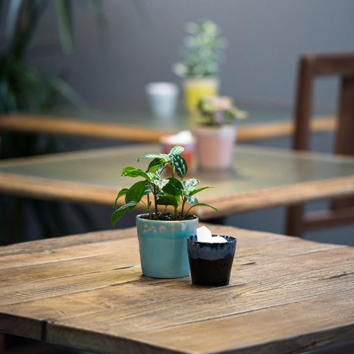 Image du produit Costa Nova Goblet Grespresso (90 ml, 1 x)