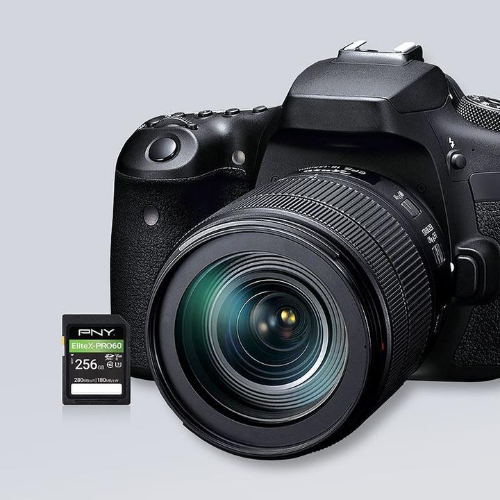 Produktbild PNY Elite X-Pro 60 (256 GB, SDXC, U3, UHS-II)