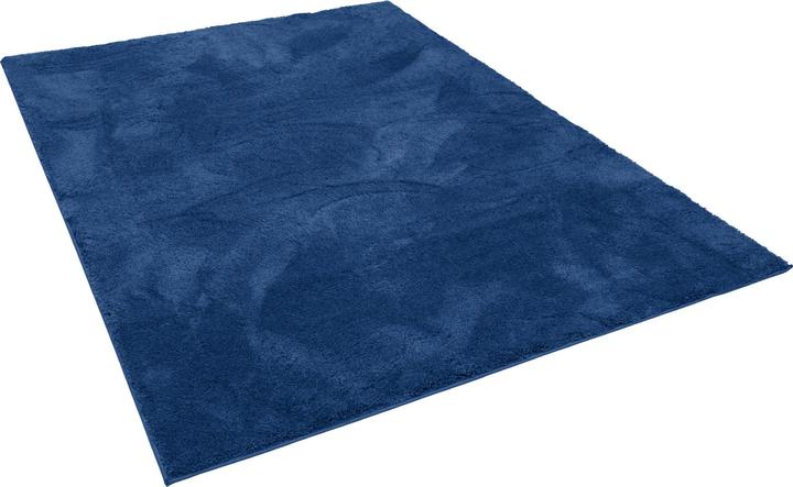 Produktbild Pergamon Super Soft Kinder Hochflor Teppich Silky Kids (160 x 230 cm)