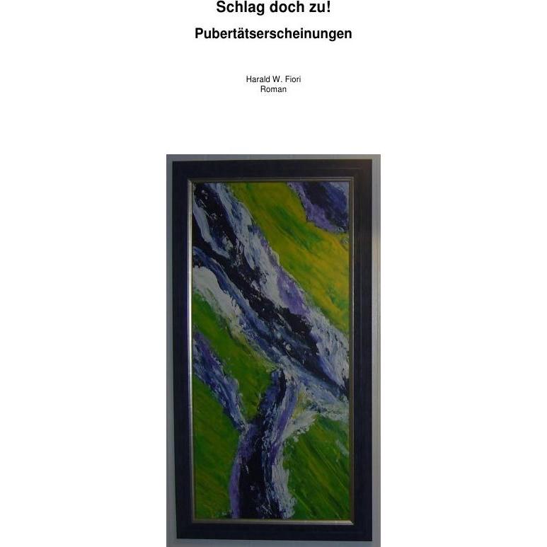 Schlag doch zu!, Belletristik von Harald W. Fiori