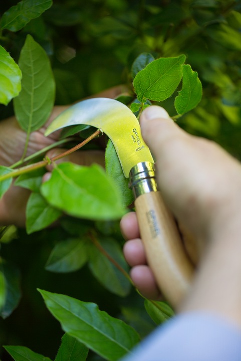 Actual product image Opinel No. 10 (8 cm)