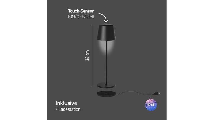 Actual product image Tint LED outdoor light table lamp Dalia black, white+colour 404135