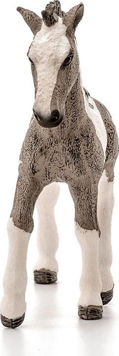 Produktbild Schleich Tinker Fohlen