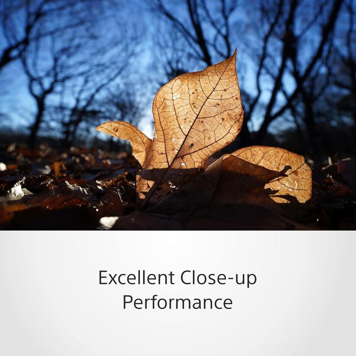 Image du produit Sony FE C 16-35 mm f/3-22 T3,1 G (Sony E, APS-C / DX, Plein format)