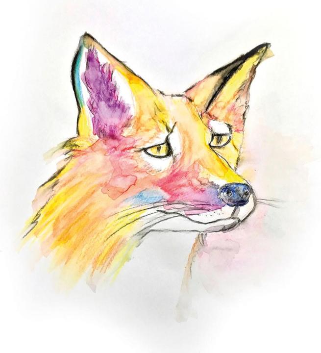 Produktbild Bic Kids Visaquarelle (10x)