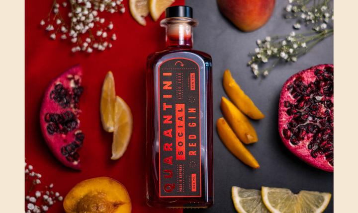 Immagine prodotto Quarantini Red Gin Gin dalla Germania 42% Vol. 0,5l