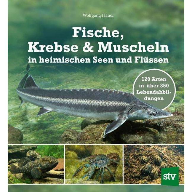 Fische, Krebse & Muscheln in heimischen Seen und Flüssen, Fachbücher von Wolfgang Hauer