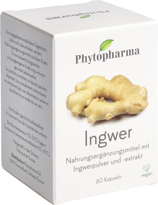 Actual product image Phytopharma Ginger (60 Piece, Capsules, 55 g)