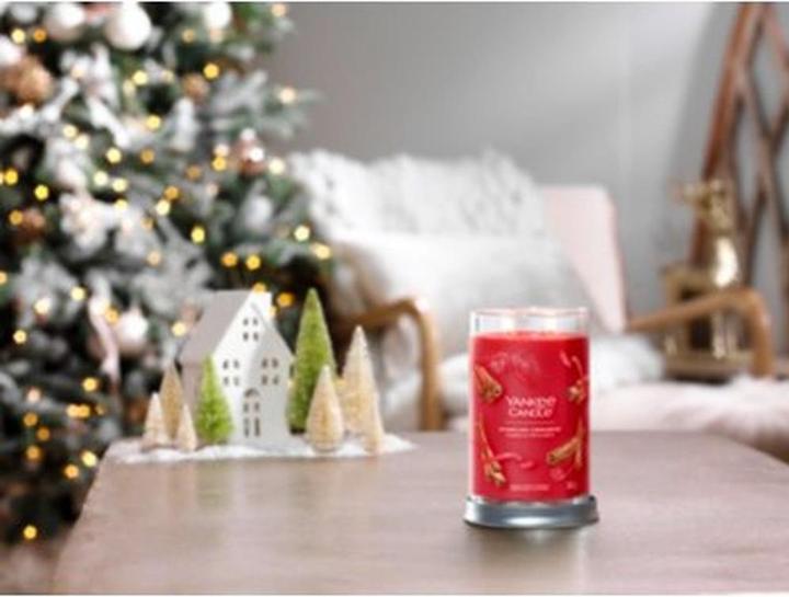 Actual product image Yankee Candle Sparkling Cinnamon Signature Large Tumbler Scented Candle (567 g)