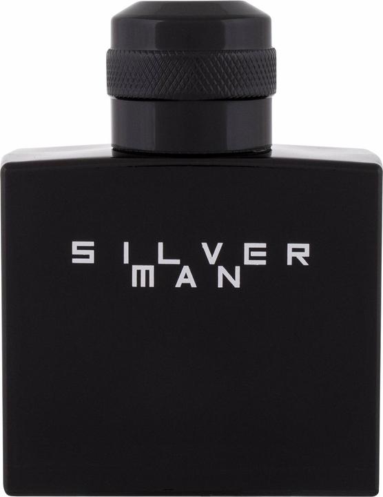 Jeanne Arthes Silver Man (Eau de Toilette, 100 ml)