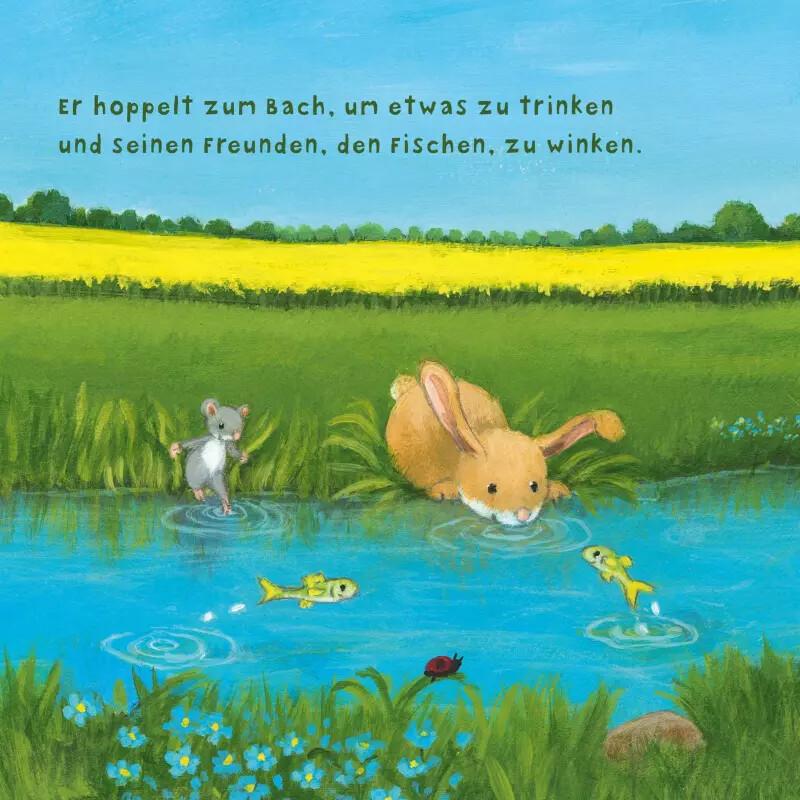 Thumbnail - Carlsen, Babybücher, Baby Pixi (unkaputtbar) 97: Der kleine Hase (Deutsch)