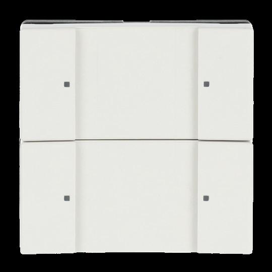 Actual product image Busch-Jaeger Control element 2/4-fold