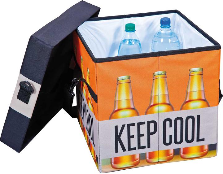 Immagine prodotto Inter Link Cassa pieghevole Fanbox II Beer (37 x 37 x 36 cm)