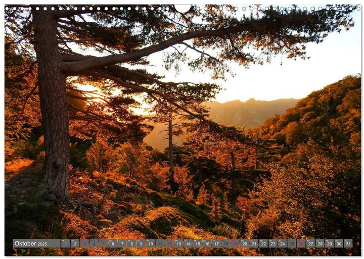 Produktbild Weitwandern auf Korsika GR 20 (Wandkalender 2025 DIN A3 quer), Monatskalender (A3)