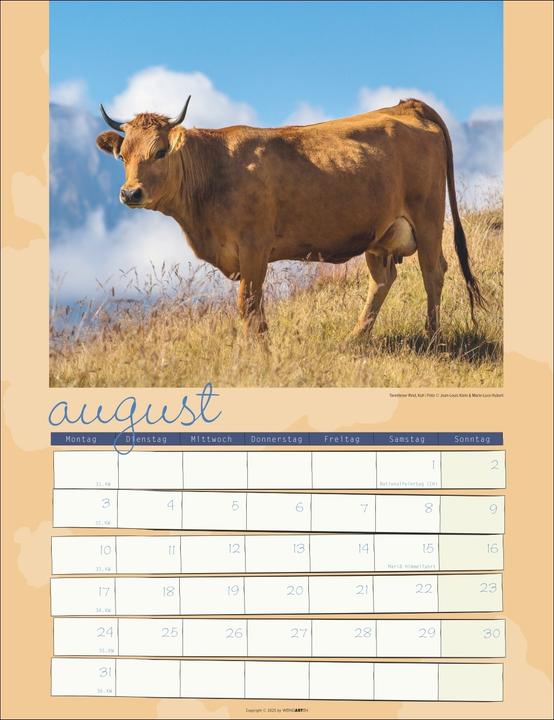 Produktbild Kuh Kalender 2026 (30 x 39 cm)