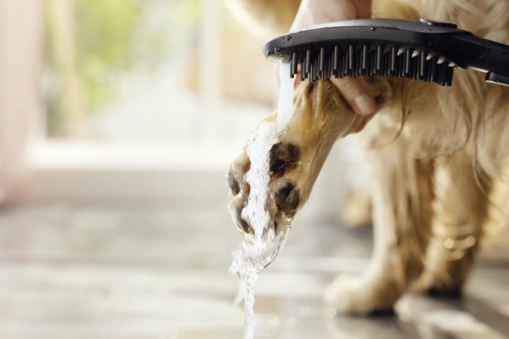 Produktbild hansgrohe DogShower Hundebrause 150 Select (3 Strahlarten, 7.60 l/min)