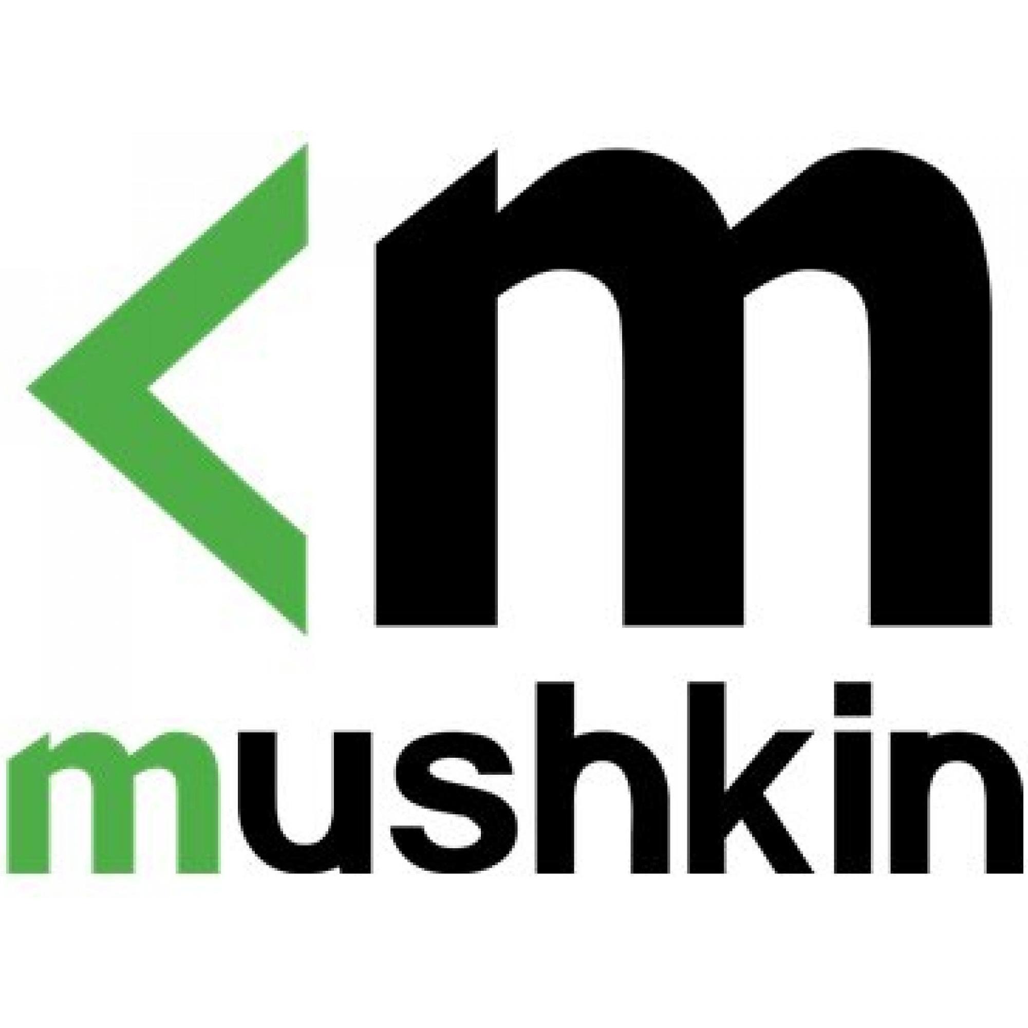 Thumbnail - Mushkin SORAM D5 4800 16GB C40 Essentials (1 x 16GB, 4800 MHz, DDR5-RAM, SO-DIMM), RAM
