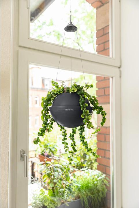 Actual product image Lechuza Flowerpot Bola Color 32 (32 cm)