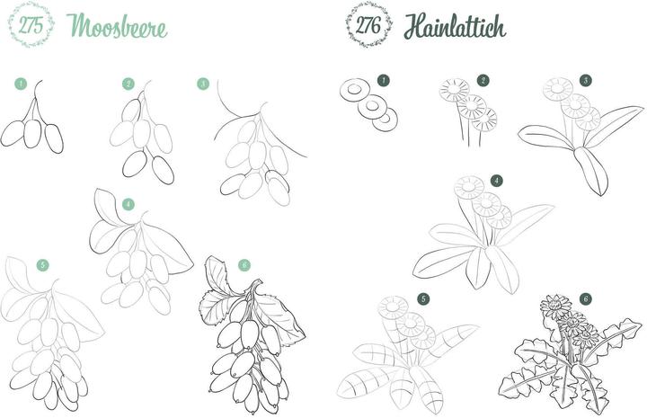 Immagine prodotto Disegna 300 motivi - Botanica
