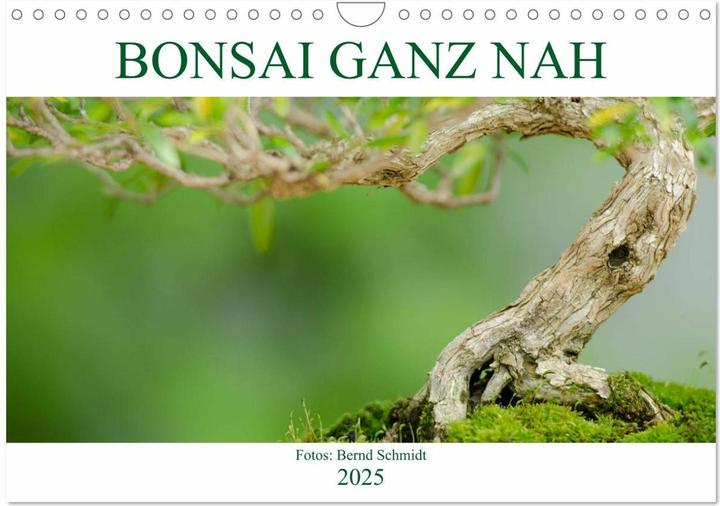 Immagine prodotto Bonsai ganz nah (Wandkalender 2025 DIN A4 quer), Monatskalender (A4)