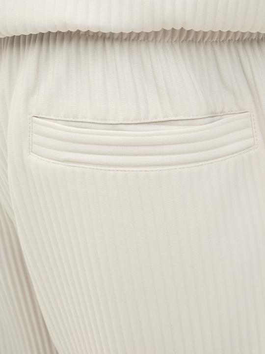 Produktbild Jack & Jones Jpstkarl Interlude Plisse Sweat Shorts (L)