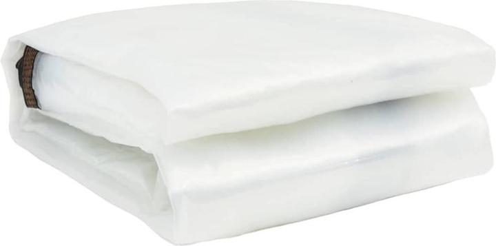 Immagine prodotto vidaXL Telone trasparente con occhielli 8x12 m in polietilene trasparente (12 x 8 m)