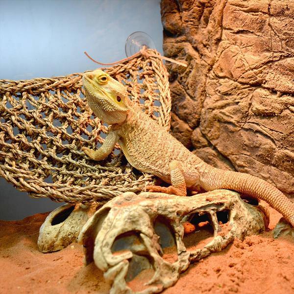 Actual product image EBI Terra Della Reptile Relaxer Triangular