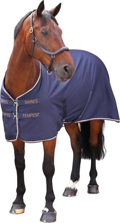 Tintenblau