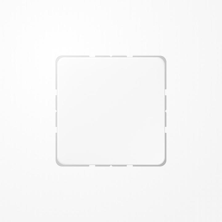 Actual product image JUNG Blind cover with support ring