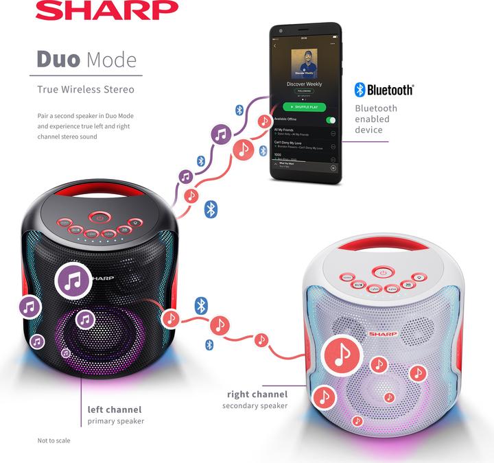 Actual product image Sharp PS-919 (14 h)