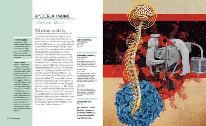 Produktbild Librero Anatomie und Medizin in 30 Sekunden (Deutsch, Gabrielle M. Finn, 2025)