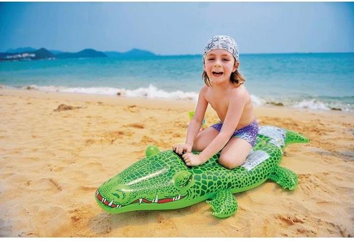 Actual product image Jilong Crocodile