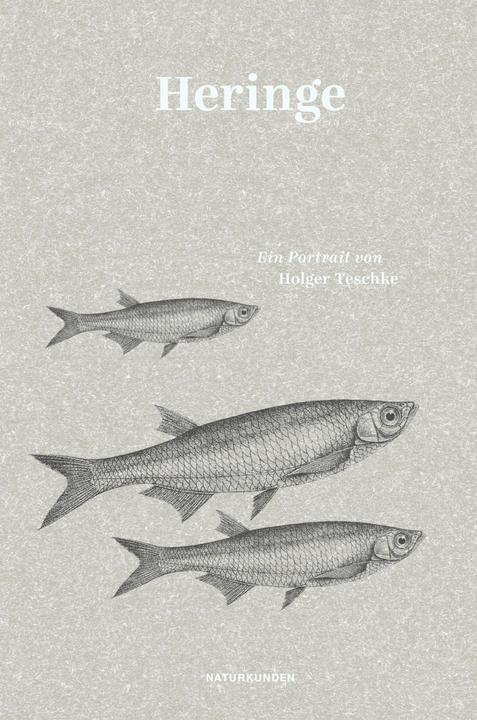 Produktbild Heringe (Deutsch, Falk Nordmann, Holger Teschke, Judith Schalansky, 2014)