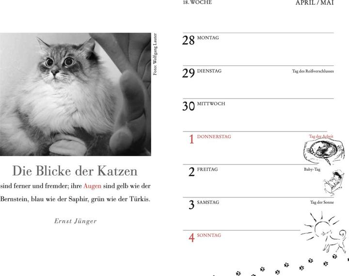 Actual product image Cats pocket calendar 2025 (9.5 x 15 cm, 1 month / 1 page)