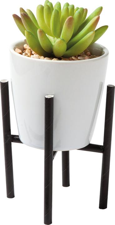 Produktbild Folia Strohhalme (25 x)